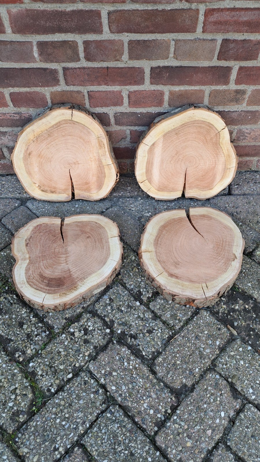 🪵 DECORATIE BOOMSCHIJVEN KERSENHOUT HOUTSCHIJF STAPTEGEL, Ophalen of Verzenden, Nieuw, Hout, Terrastegels