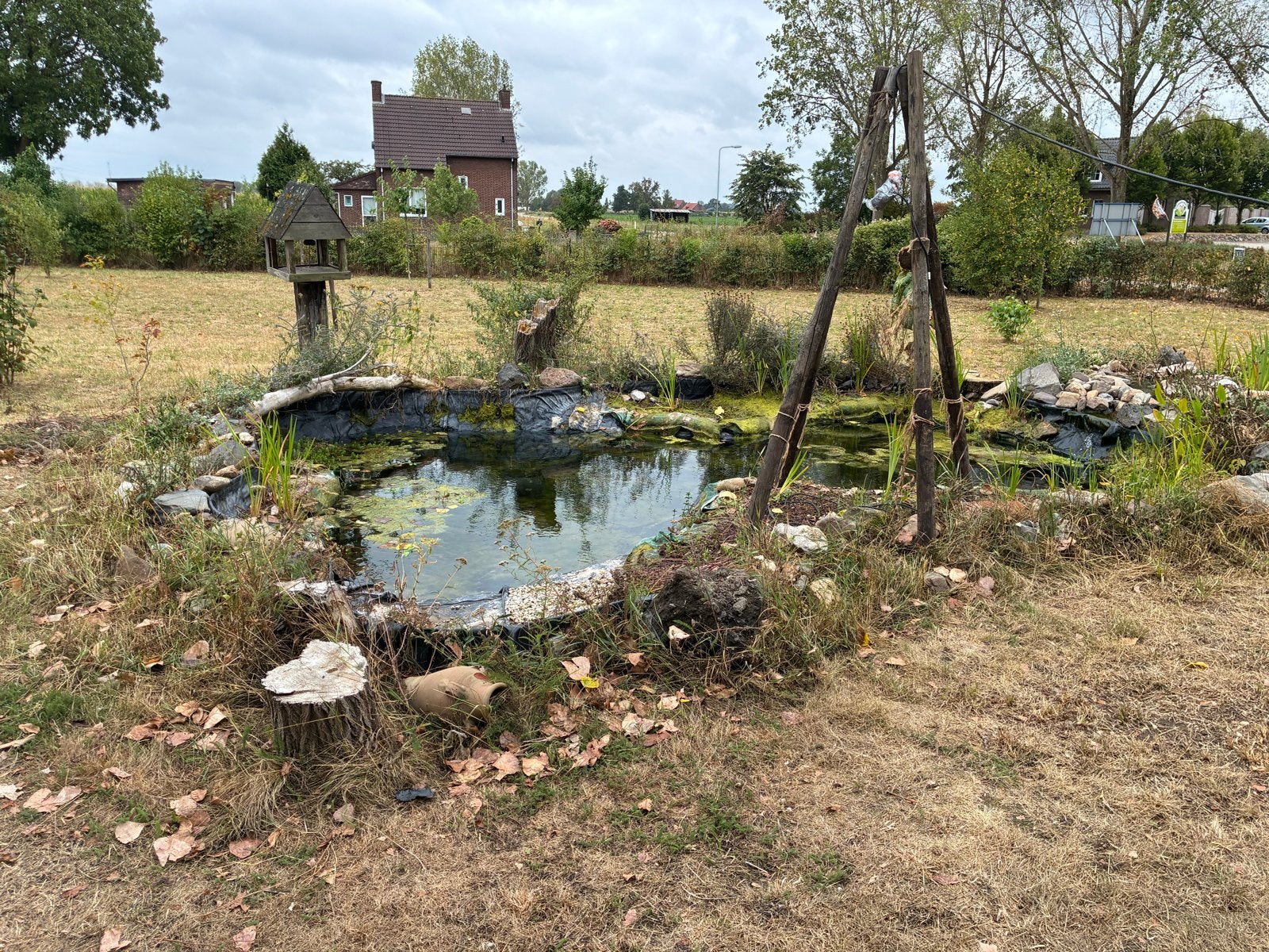 Natuurlijke vijver met waterplanten en stenen, Ophalen, Gebruikt