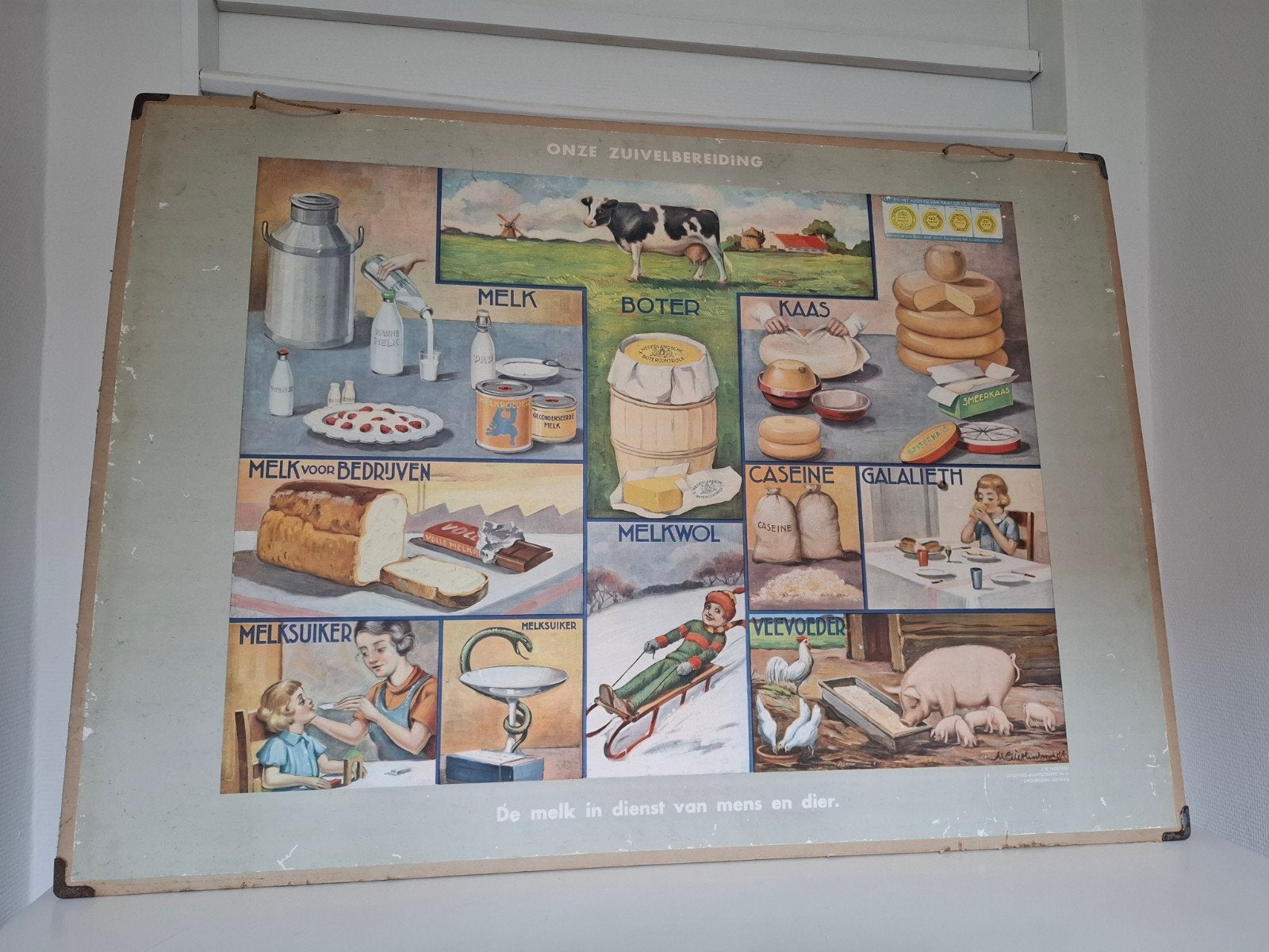 Vintage Schoolplaat: Onze Zuivelbereiding (J.B. Wolters), Ophalen