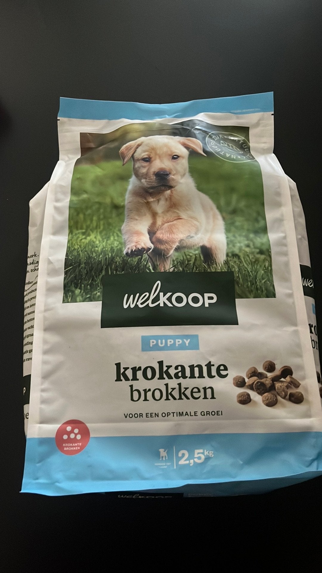 Welkoop puppy brokken, Ophalen of Verzenden, Hond
