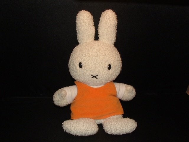AUGUSTA DU BAY MERCIS DICK BRUNA KONIJN NIJNTJE MIFFY BADSTO, Verzenden, Nieuw, Overige typen