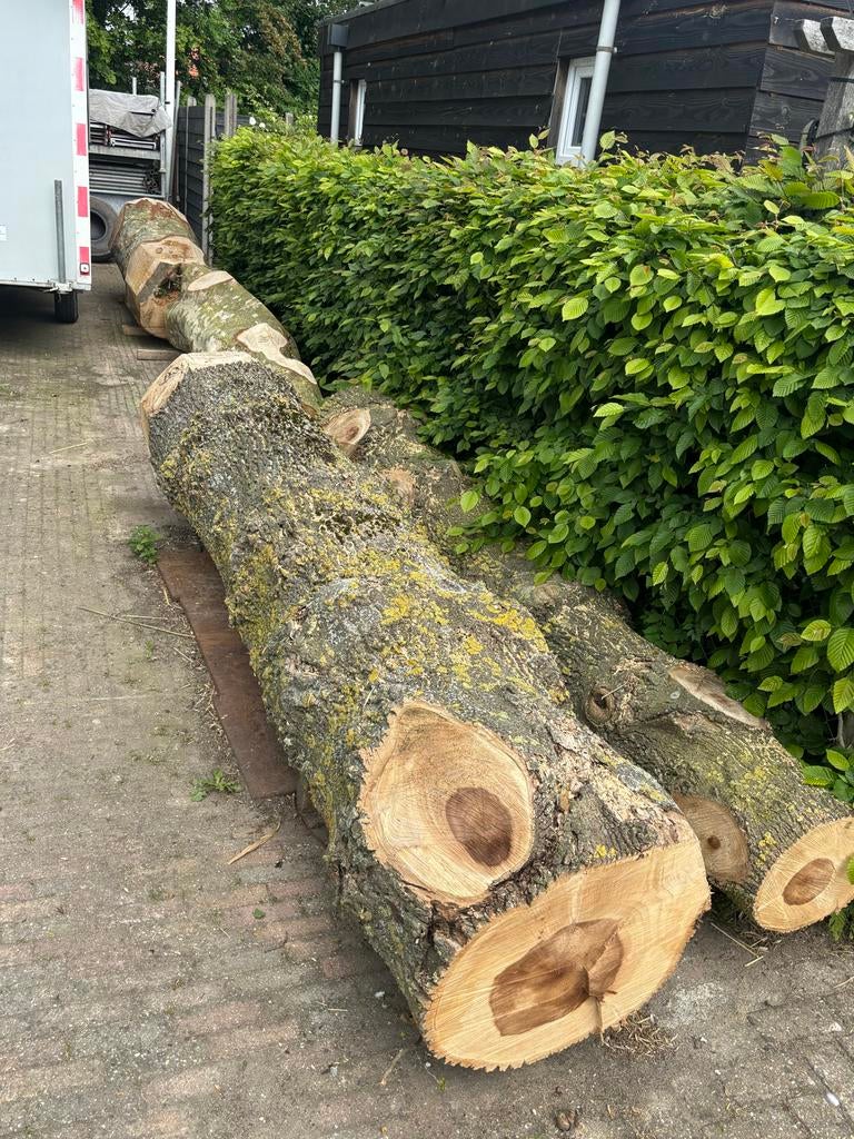 4 Grote boomstammen +/- 3.5 m lang, Tuin en Terras, Haardhout, Minder dan 3 m³, Ophalen