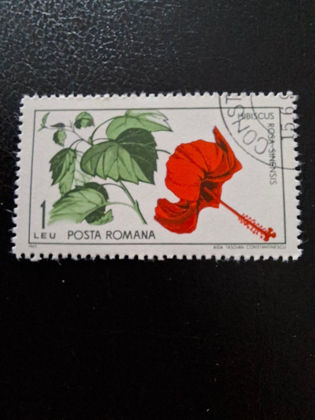 Bloemen.  Roemenië, Ophalen of Verzenden, Dier of Natuur
