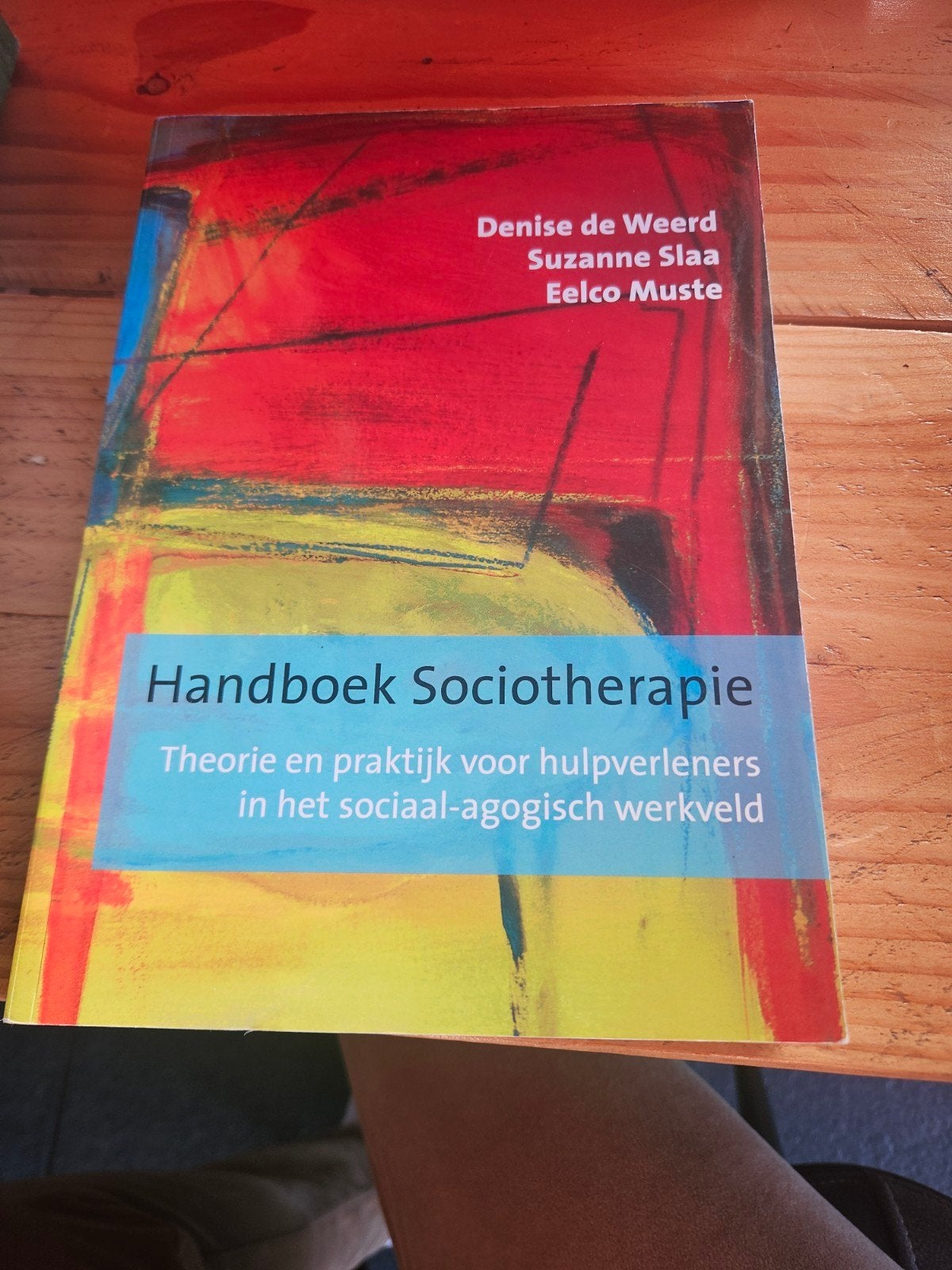 Handboek Sociotherapie: Theorie en praktijk, Verzenden, HBO, Zo goed als nieuw, Gamma