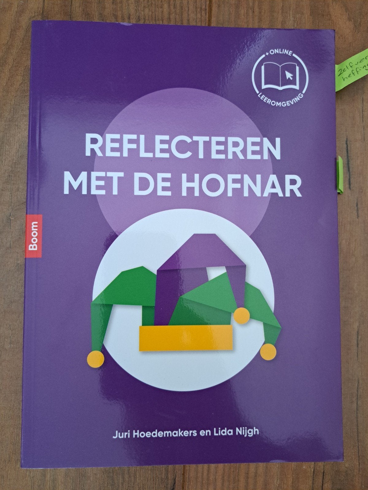 Reflecteren met de Hofnar - Studieboek HBO/WO, Ophalen of Verzenden, Zo goed als nieuw, HBO, Juri Hoedemakers en Lida Nijgh