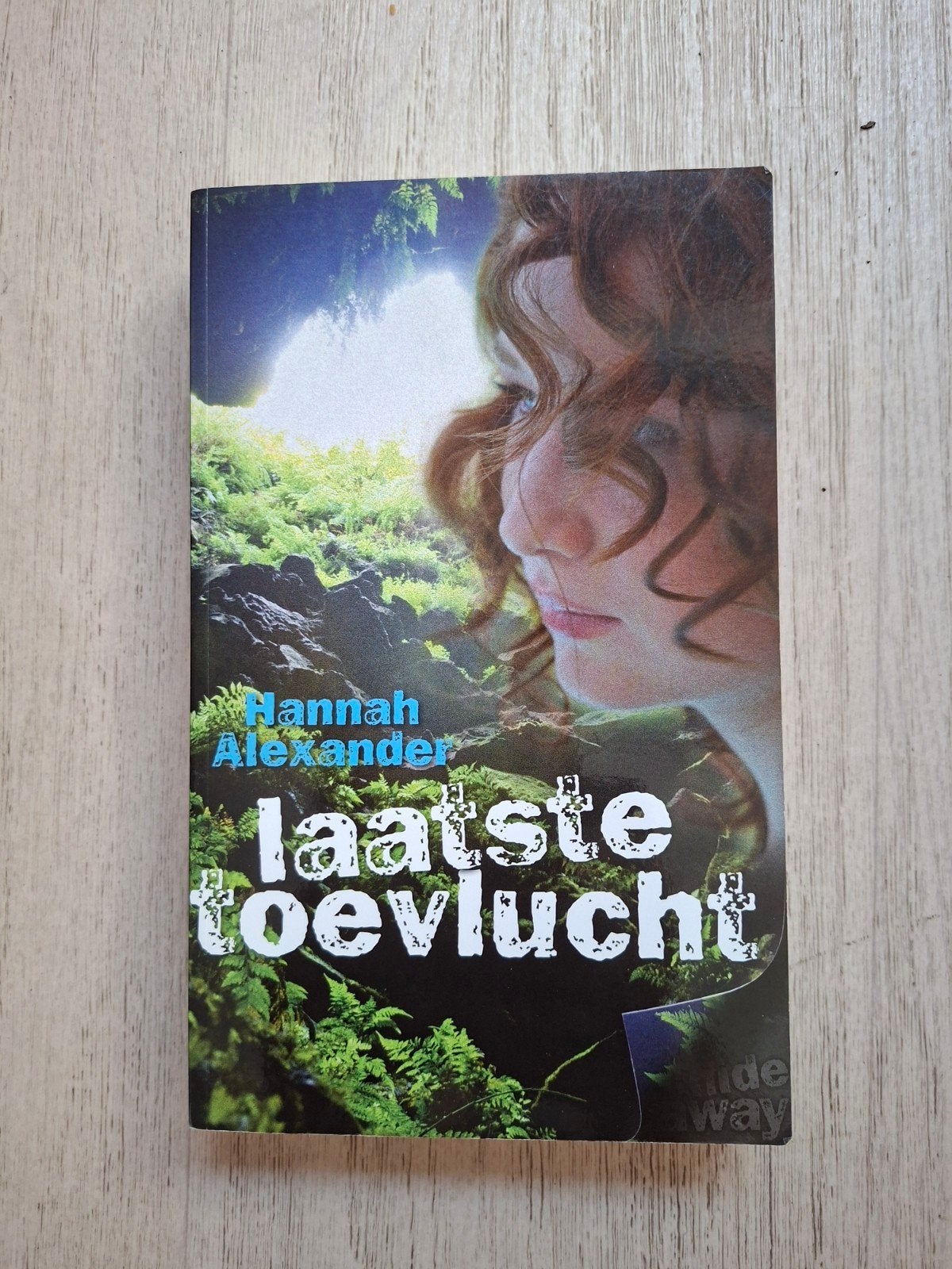 Laatste toevlucht, Boeken, Ophalen of Verzenden, Zo goed als nieuw, Hannah Alexander, Nederland
