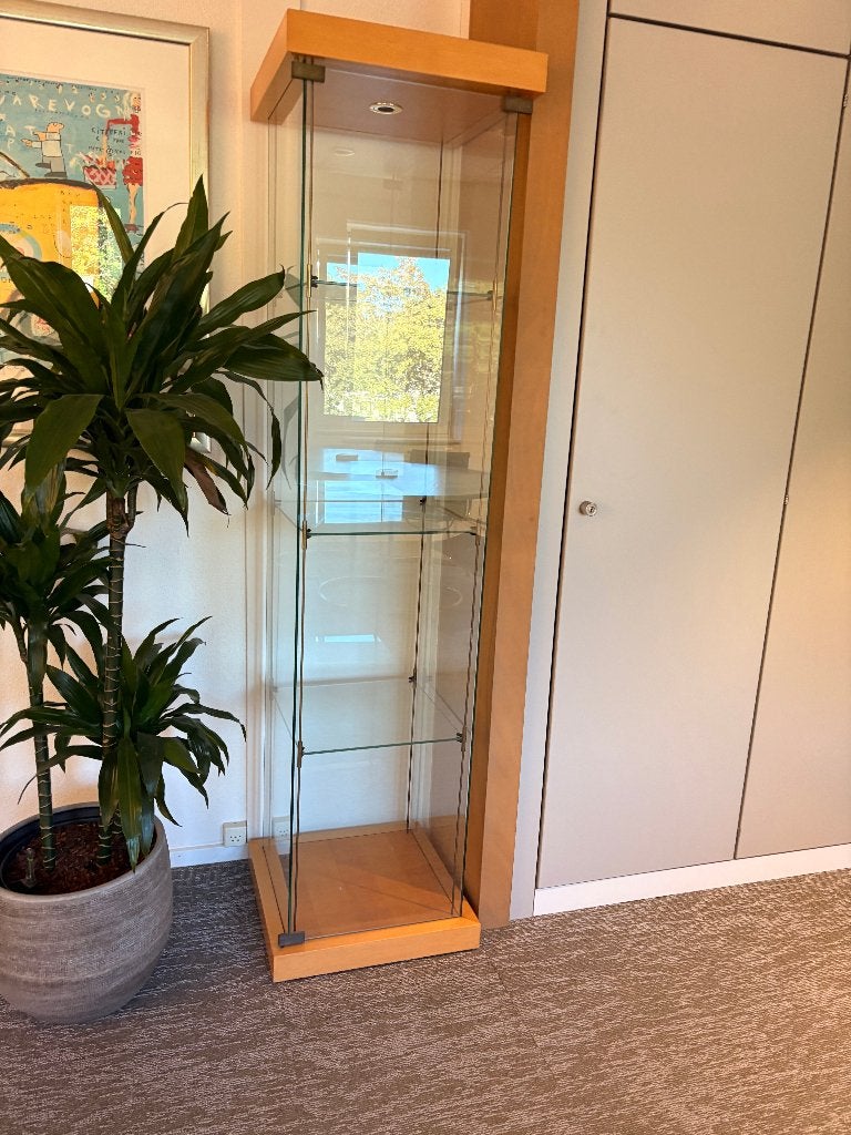 Glazen kast / Vitrine 50x50x197 cm, Ophalen, 50 tot 100 cm, 150 tot 200 cm, 25 tot 50 cm
