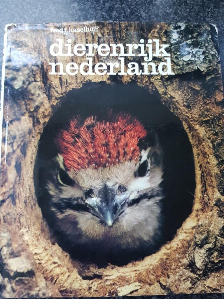 Dierenrijk Nederland - Rodolf Hazelhoff, Ophalen of Verzenden