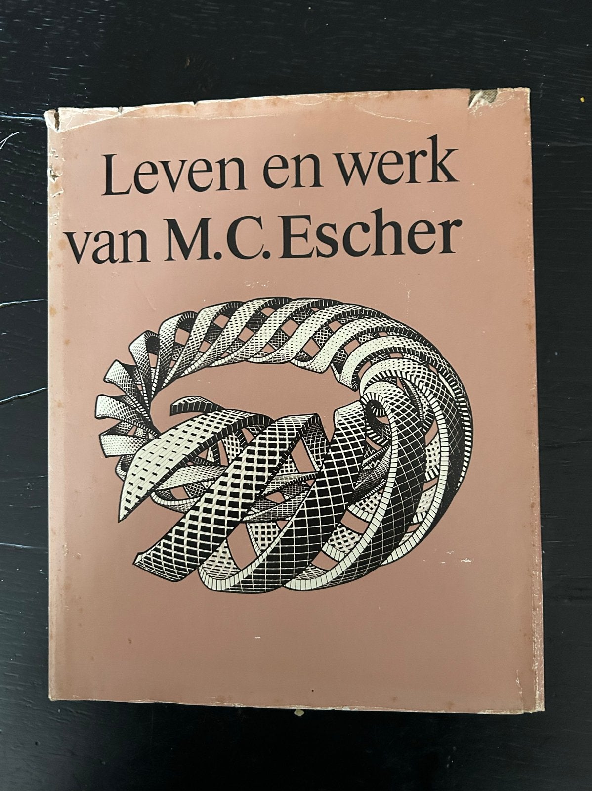 Leven en werk van M.C. Escher - Boek, Boeken, Ophalen of Verzenden, Gelezen, Overige onderwerpen