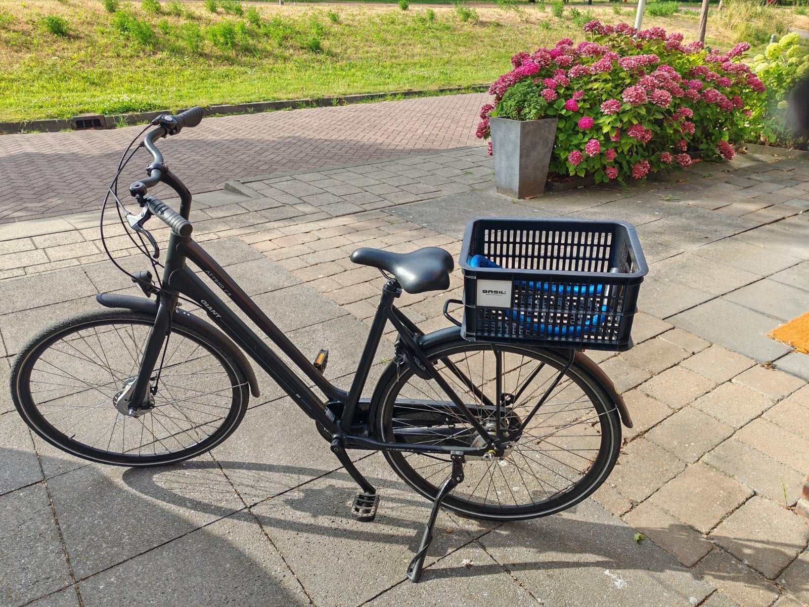 Giant dames fiets zgan, Ophalen, Zo goed als nieuw, Overige merken