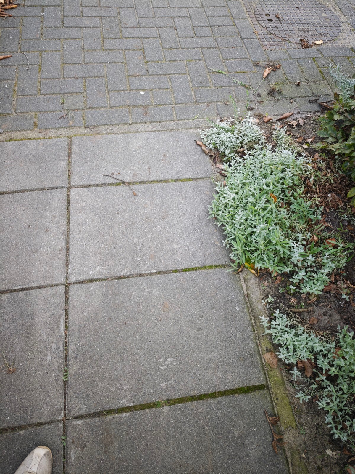 bestrating stoeptegels, Tuin en Terras, Ophalen, Gebruikt, Beton, Terrastegels