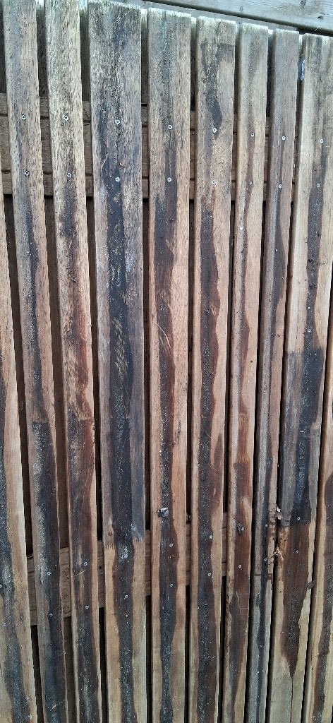 hardhouten schutting, Ophalen, 1 tot 2 meter, Minder dan 3 meter, Nieuw