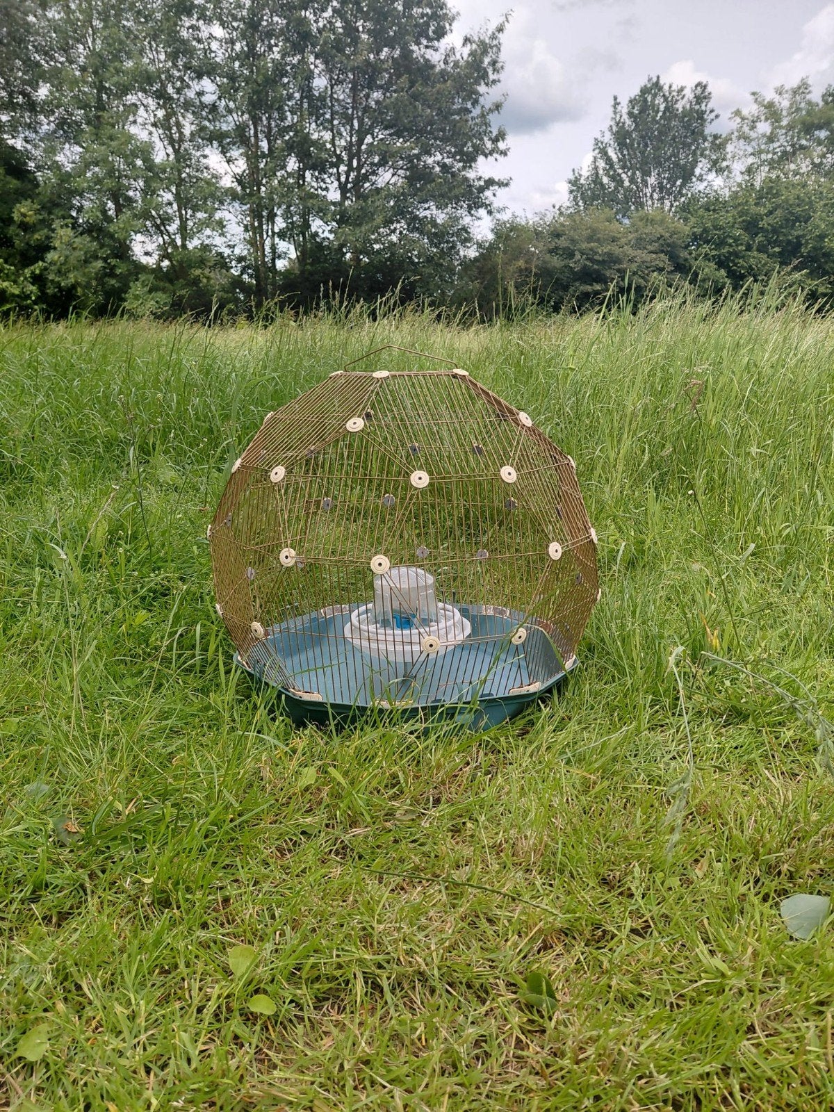 Vogelkooi, Ophalen, Zo goed als nieuw, Loopwiel of Rad