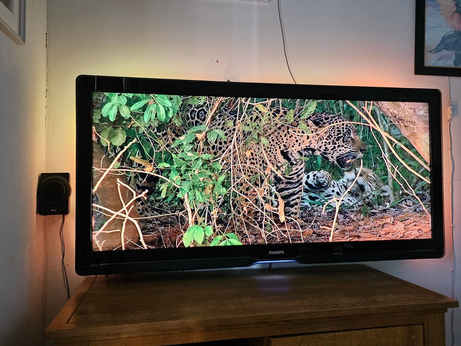Philips Bioscoop TV Full HD (1080p) 56PFL9954H/12 IZGS, Ophalen, Philips, Gebruikt, 100 Hz
