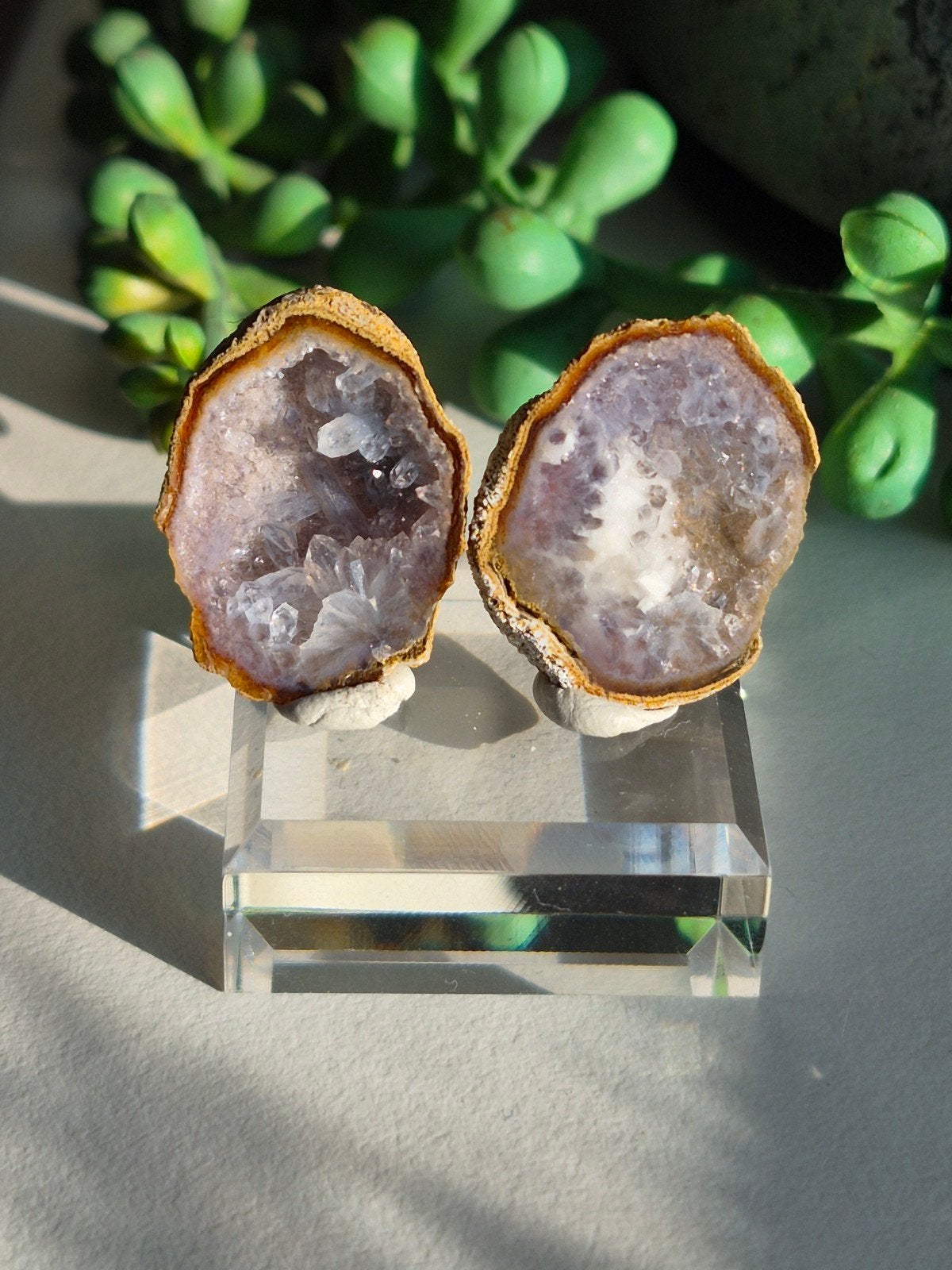 tabasco geode paar, Verzamelen, Ophalen of Verzenden