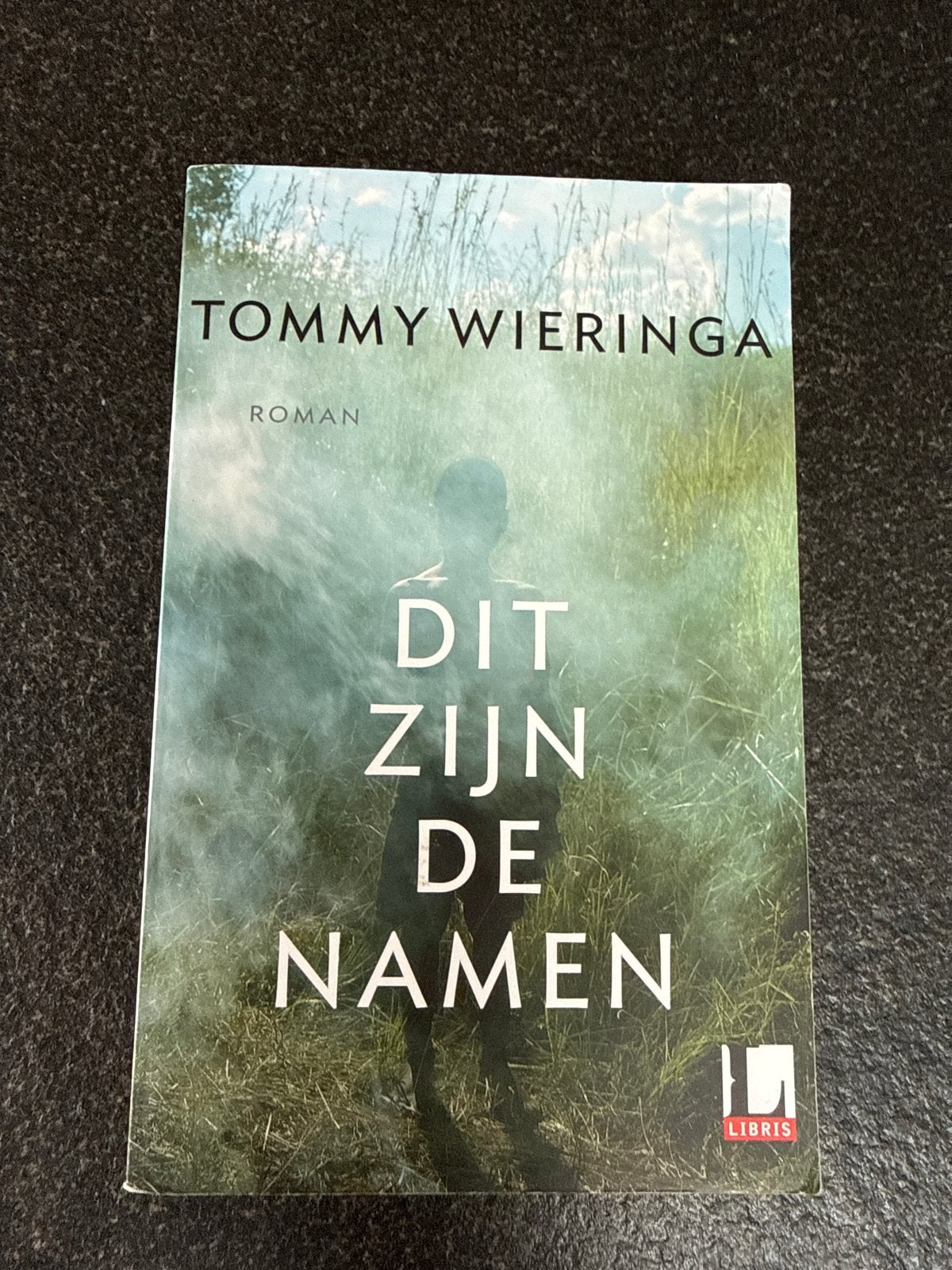 Dit zijn de namen - Tommy Wieringa (Roman), Ophalen of Verzenden, Gelezen, Nederland