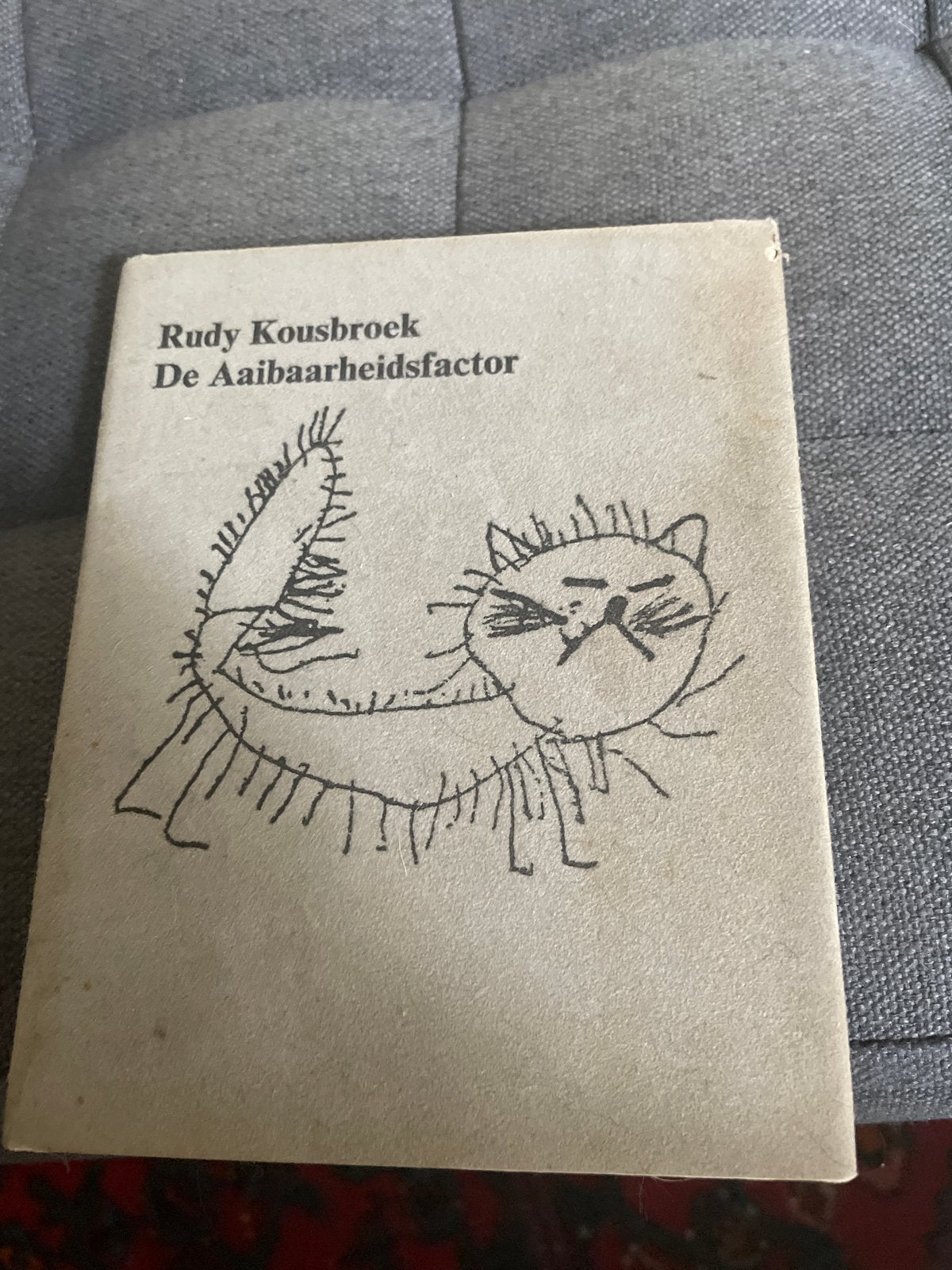 Rudy Kousbroek - De Aaibaarheidsfactor (Gelezen), Boeken, Ophalen of Verzenden, Gelezen