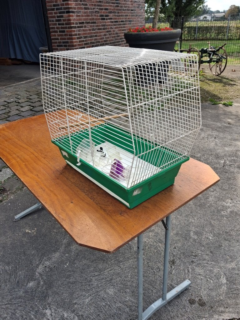 vogelkooi, Ophalen, Gebruikt, Metaal, Vogelkooi