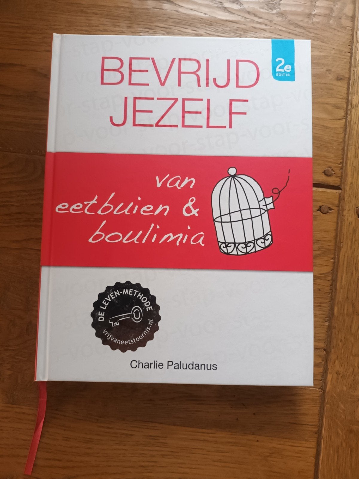 Paludanus Charlie BEVRIJD JEZELF Van eetbuien & boulimia, Boeken, Ophalen of Verzenden, Nieuw