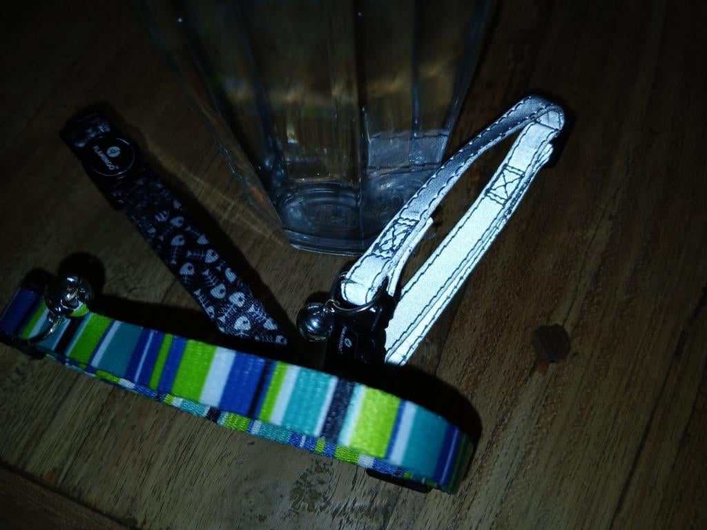 Halsbandjes kat, Ophalen of Verzenden, Zo goed als nieuw