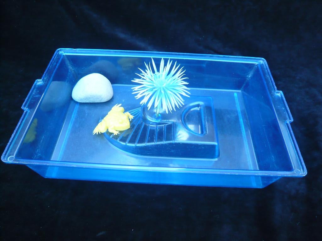 Terrarium, Ophalen of Verzenden, Zo goed als nieuw, Terrarium of Paludarium