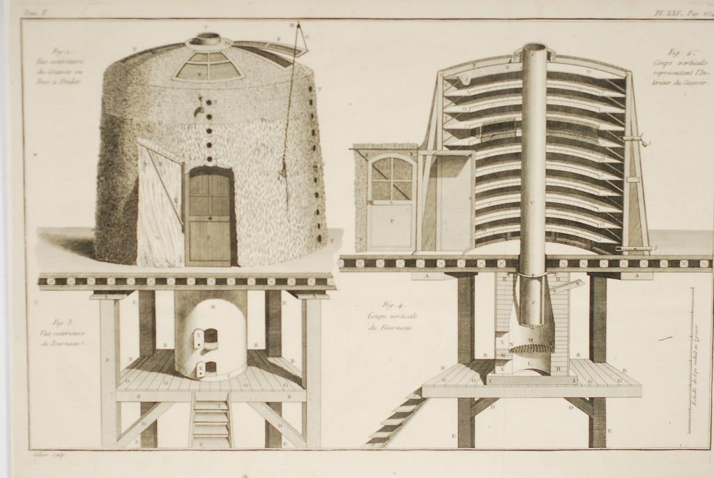 Kippen broederij - Antieke illustratie 19e eeuw, Verzenden, Voor 1940, Zo goed als nieuw, Overige onderwerpen