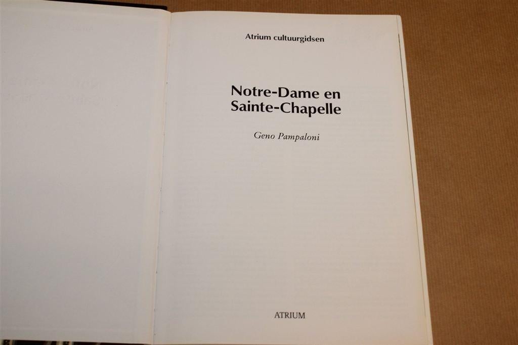 Notre-Dame en Sainte-Chapelle — Parijs Fotoboek, Ophalen of Verzenden, Gelezen, Europa