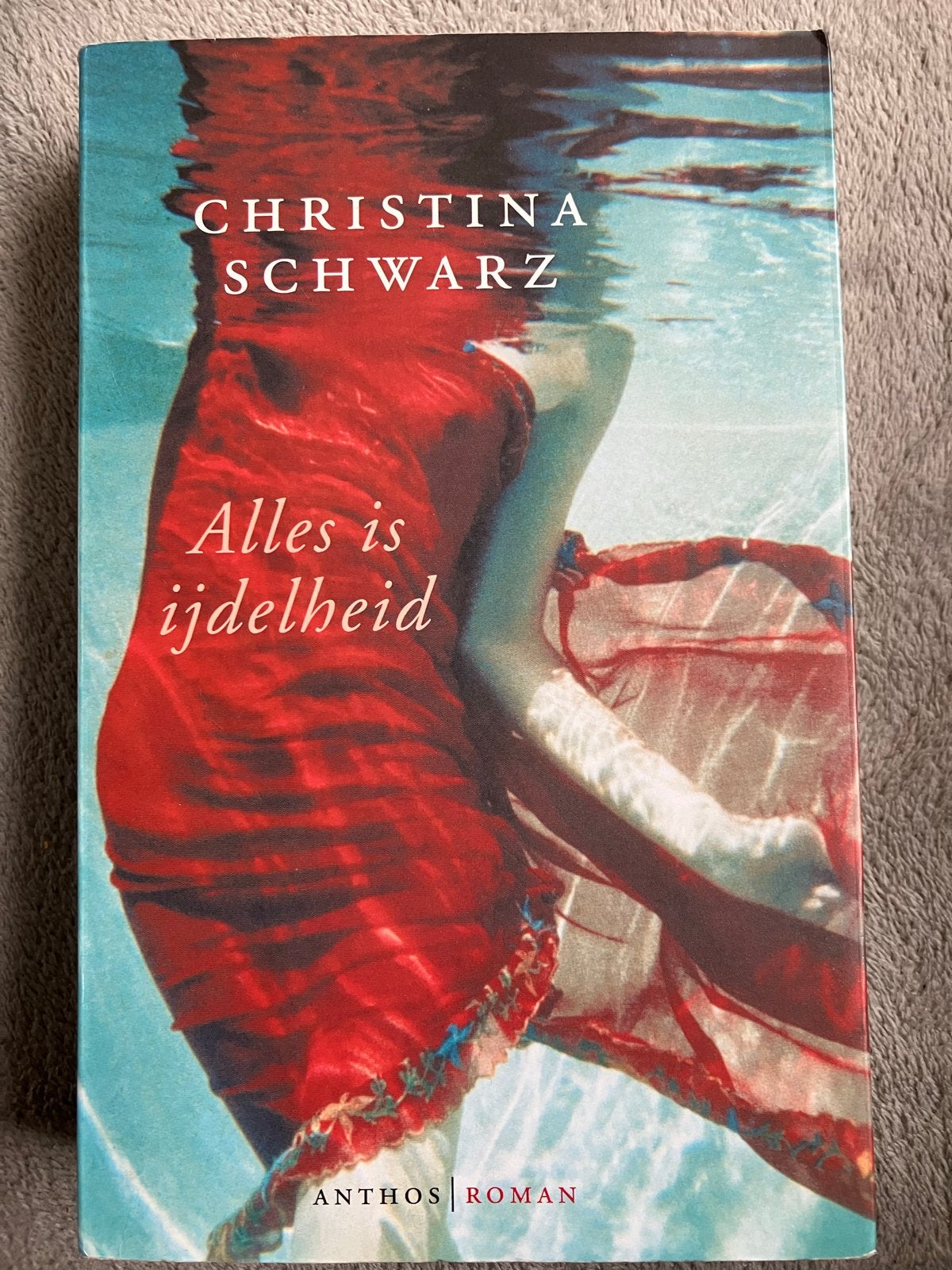Alles is ijdelheid - Christina Schwarz (Roman), Ophalen of Verzenden, Zo goed als nieuw, Nederland