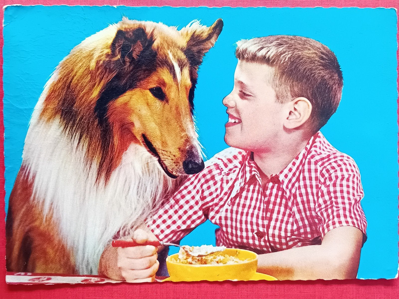 Ansichtkaart Lassie, Ophalen of Verzenden, Foto of Kaart