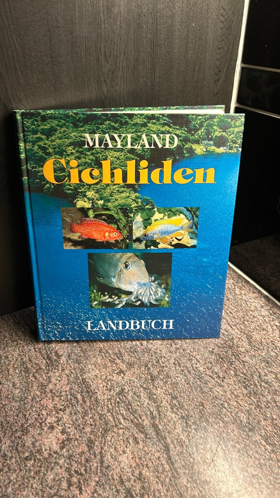 Mayland Cichliden Landbuch - Boek over Cichliden, Ophalen of Verzenden, Zo goed als nieuw, Overige onderwerpen