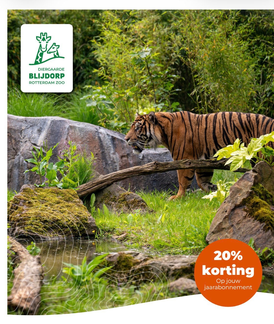 20% korting op jaarabonnement Diergaarde Blijdorp dierentuin, Tickets en Kaartjes, Eén persoon, Kortingskaart