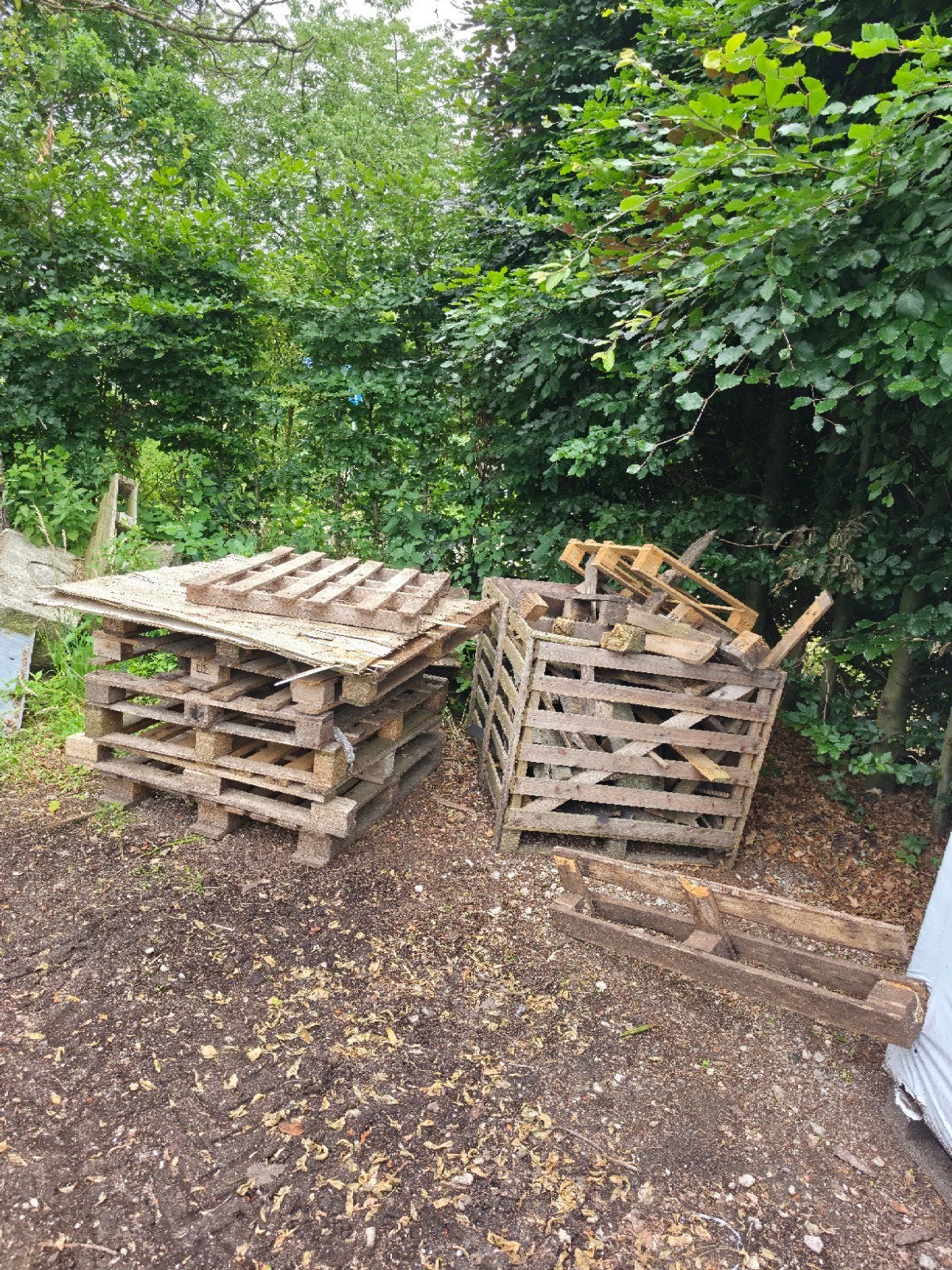 Brand hout gratis ophalen per stapel, Minder dan 3 m³, Ophalen, Overige houtsoorten, Blokken
