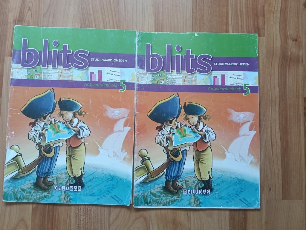 Blits Antwoordenboek 5 - Studievaardigheden (2 stuks), Ophalen of Verzenden, Gelezen, Overige vakken