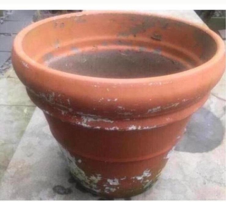 Grote oude terracotta pot 47cm Vorstbestendig, Ophalen, Gebruikt, 40 cm of meer, Rond