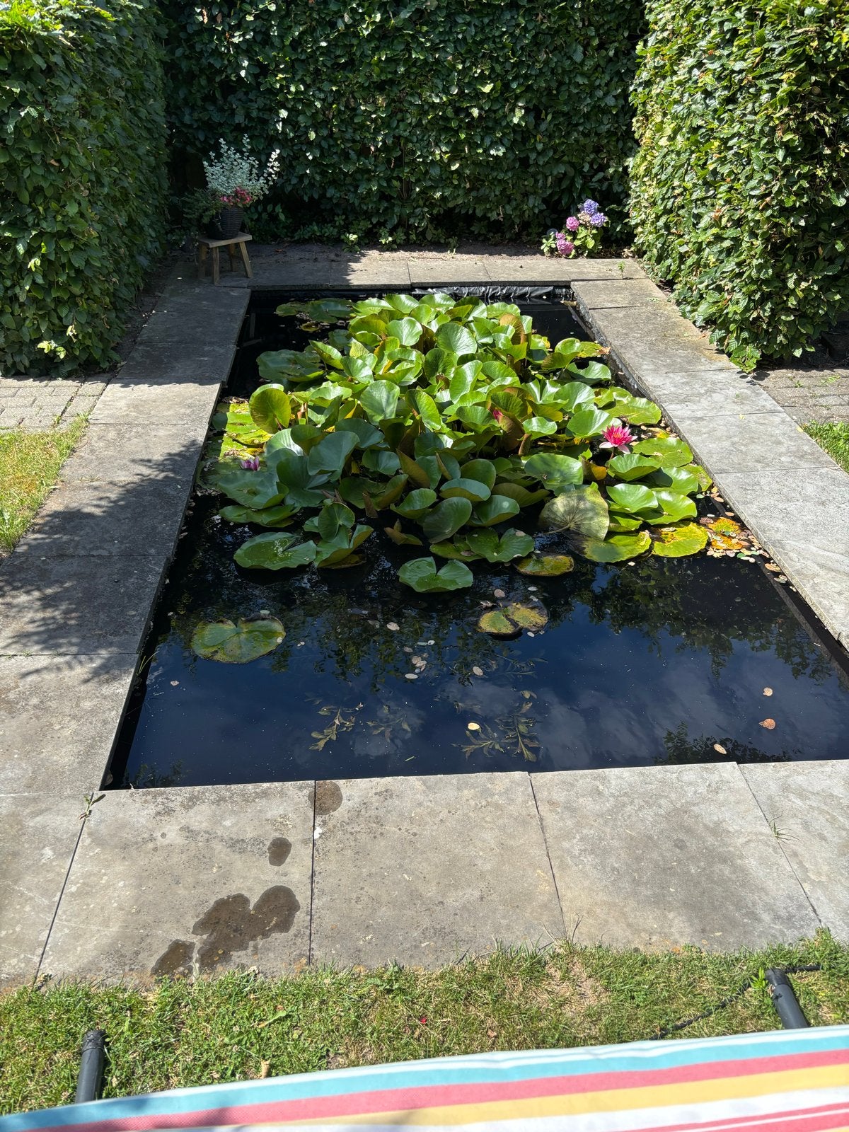 Complete Vijver incl waterlelies, visjes, zeil en tegels, Tuin en Terras, Ophalen, Gebruikt