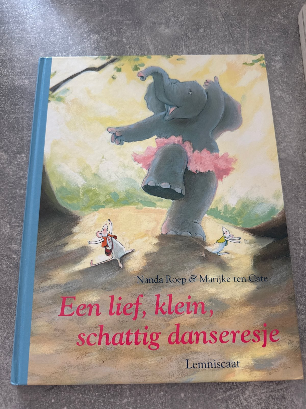Een lief, klein, schattig danseresje - Kinderboek, Fictie algemeen, Verzenden, Jongen of Meisje, Zo goed als nieuw