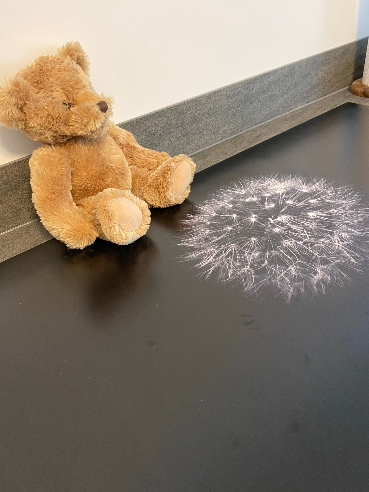 Schattige teddybeer in perfecte staat, Ophalen, Beer, Zo goed als nieuw, Middelgroot (20 tot 80 cm)