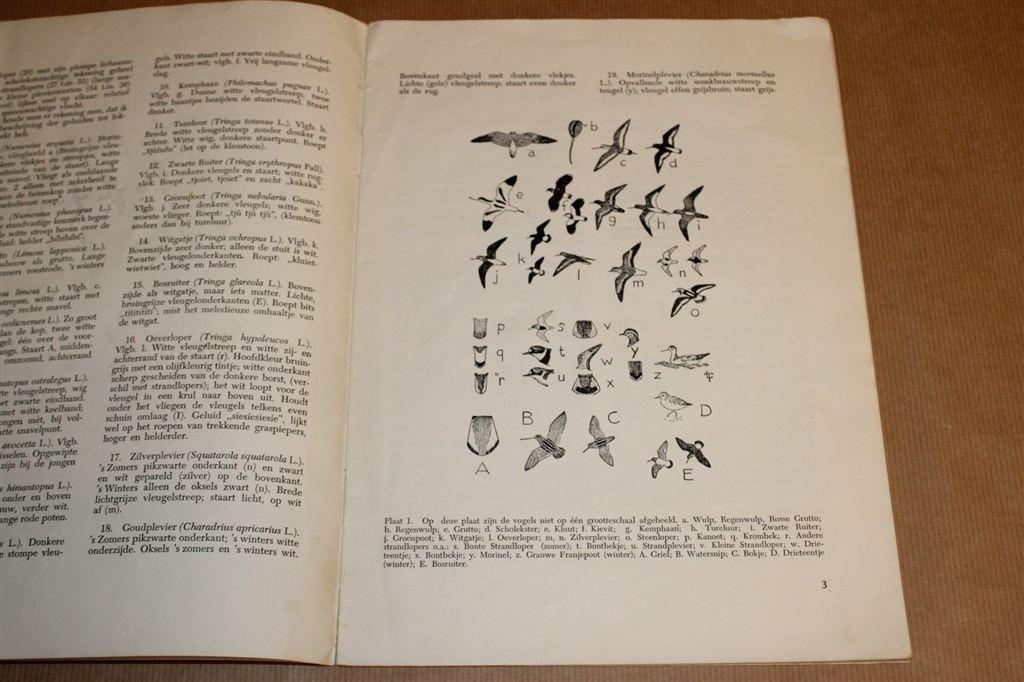 Veldkenmerken Steltlopers, Zwanen & Eenden [1953], Ophalen of Verzenden, Gelezen, Vogels