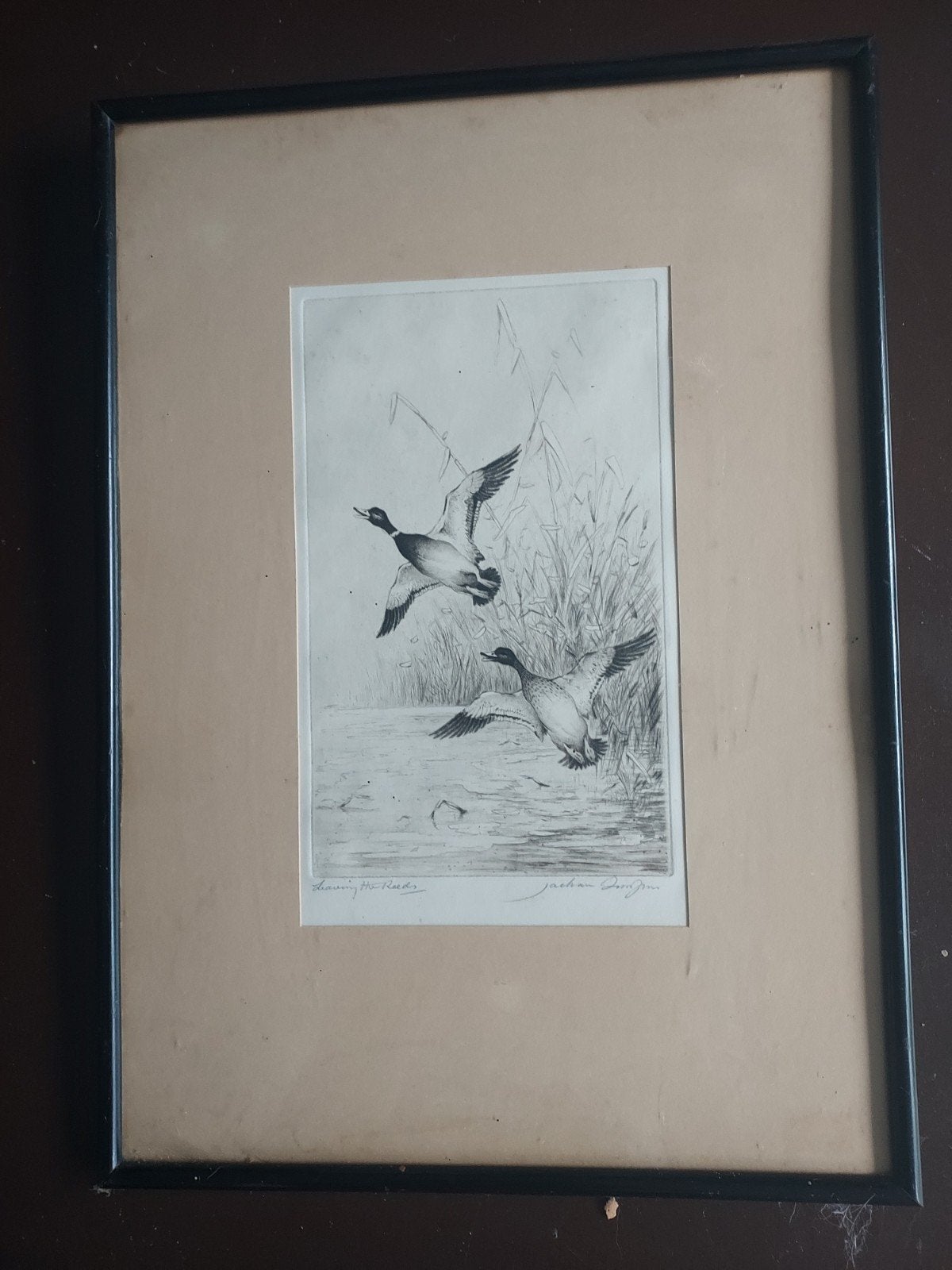 Ets van vliegende eenden, gesigneerd, Antiek en Kunst, 26 cm, Ets, Ophalen of Verzenden, 16 cm