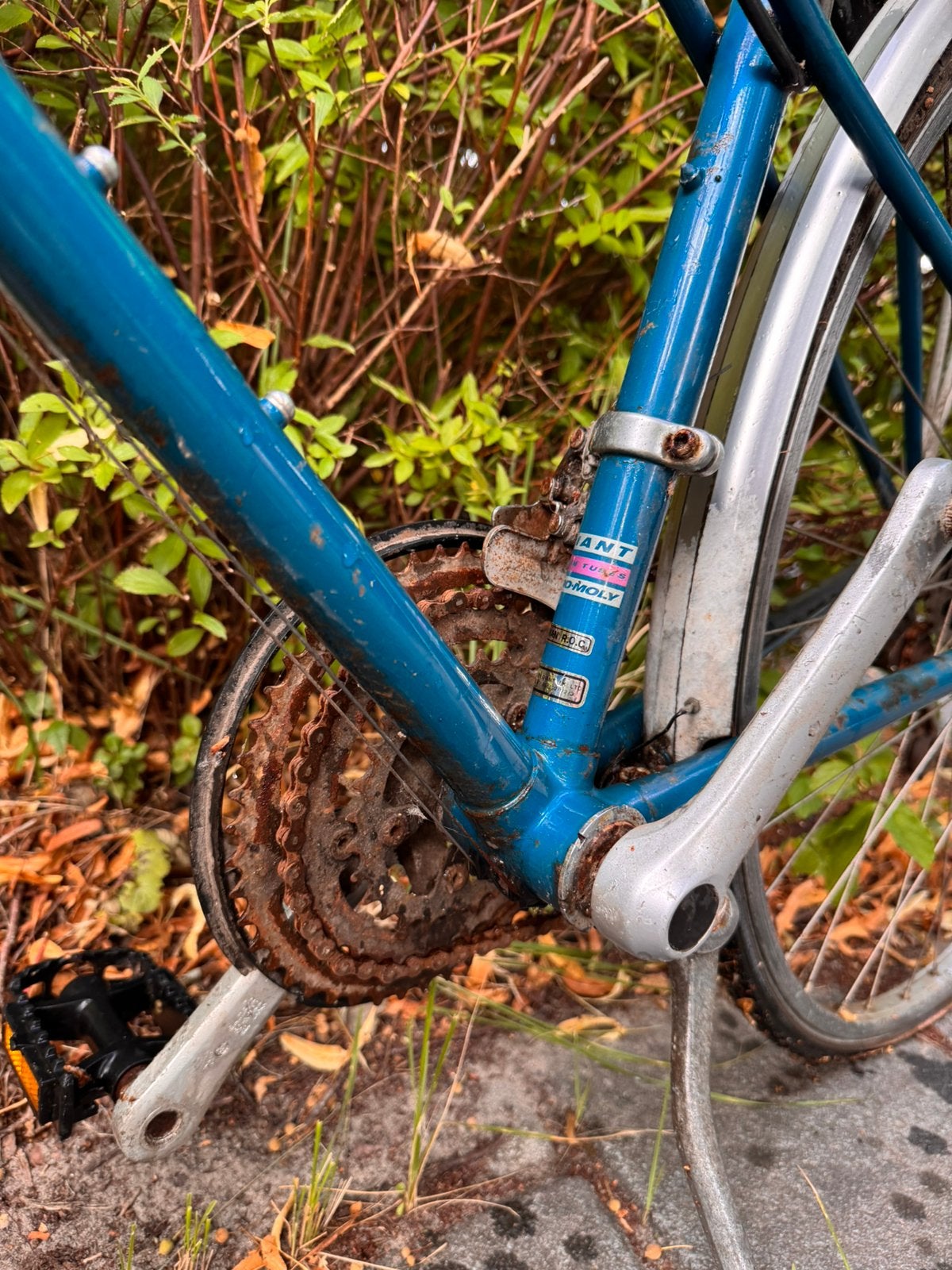 Giant Trooper – vintage damesfiets / trekkingfiets, Ophalen, Gebruikt, Minder dan 10 versnellingen, Giant