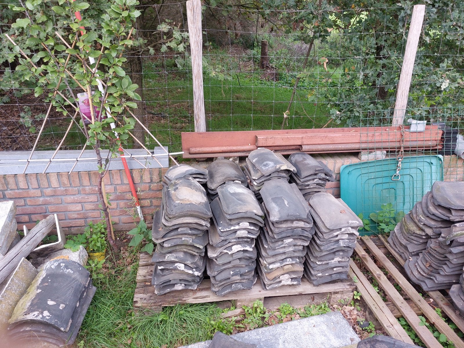 Oud Hollandse dakpannen, Doe-het-zelf en Verbouw, Gebruikt, Steen of Klei, Ophalen of Verzenden, 15 m² of meer