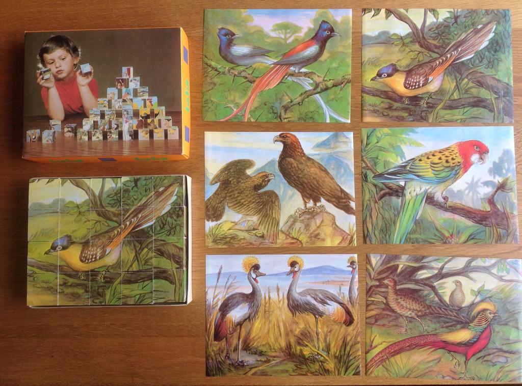Houten blokken puzzel Tofa - 6 vogels - retro - hout - vogel, Ophalen of Verzenden