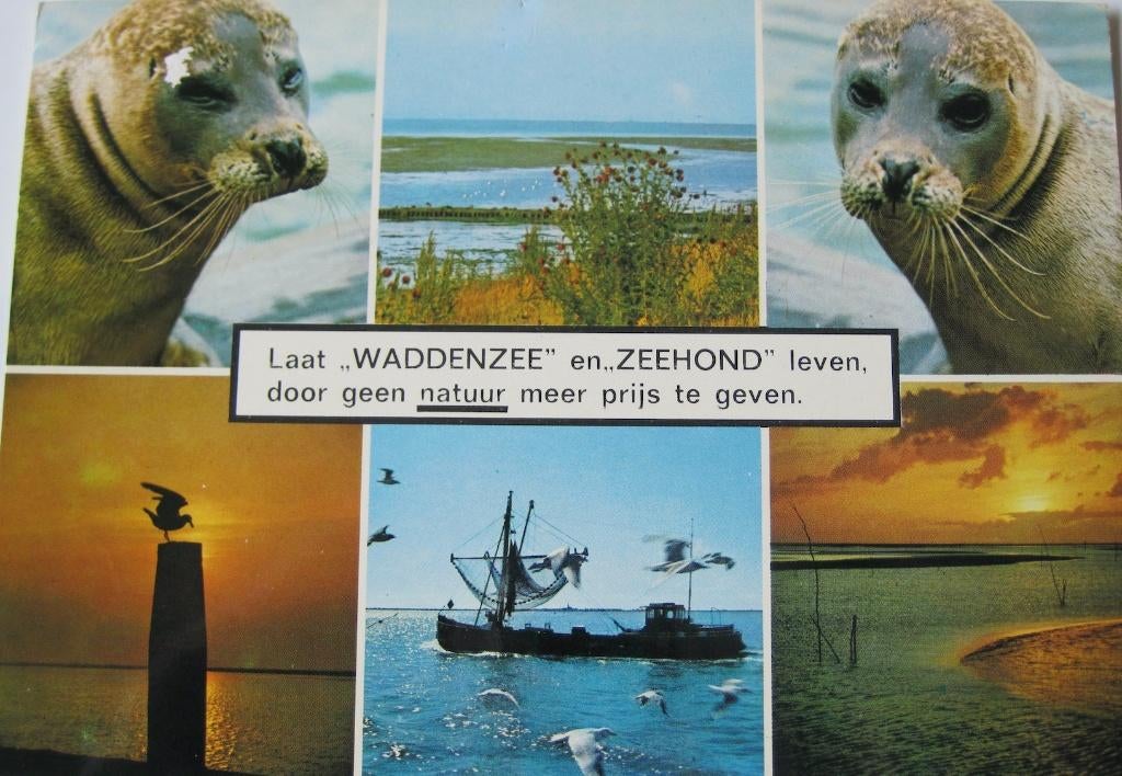 Laat Waddenzee en Zeehond leven - Texel, Verzenden, 1980 tot heden, Gelopen, Waddeneilanden