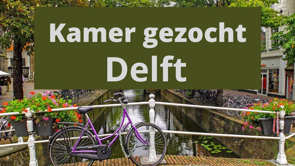 Gezocht: studentenkamer in delft, Delft