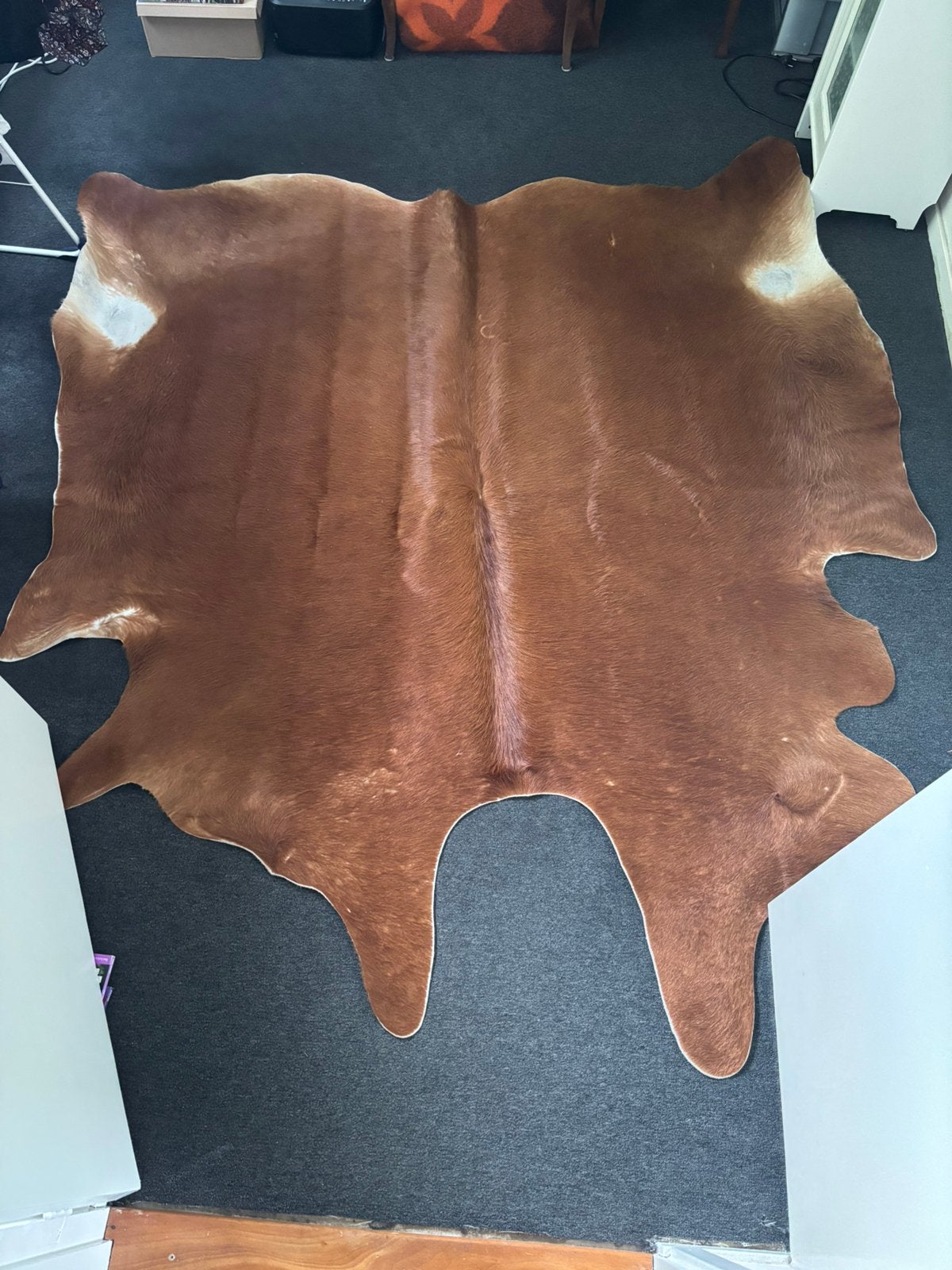 Koeienhuid Koldby bruin/cognac, Ophalen, Gebruikt, Bruin, 150 tot 200 cm