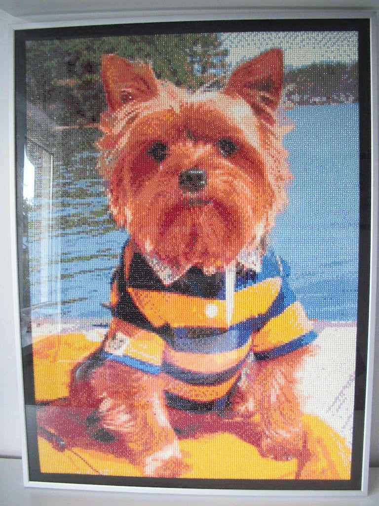 Diamond painting Yorkshire Terrier in Lijst - 68 x 51 - zgan, Ophalen of Verzenden, Zo goed als nieuw, Kunststof, Diamond painting