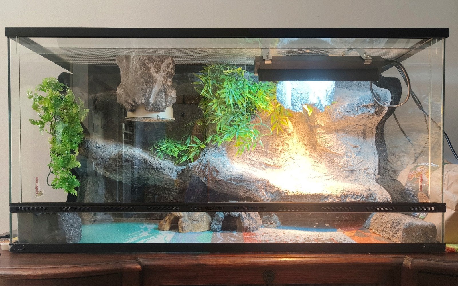 Prachtig terrarium - Blue Lagoon + grot planten UVB TL etc., Ophalen, Zo goed als nieuw