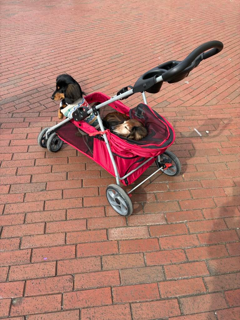 Hondenbuggie/wandelwagen, Dieren en Toebehoren, Ophalen of Verzenden, Gebruikt