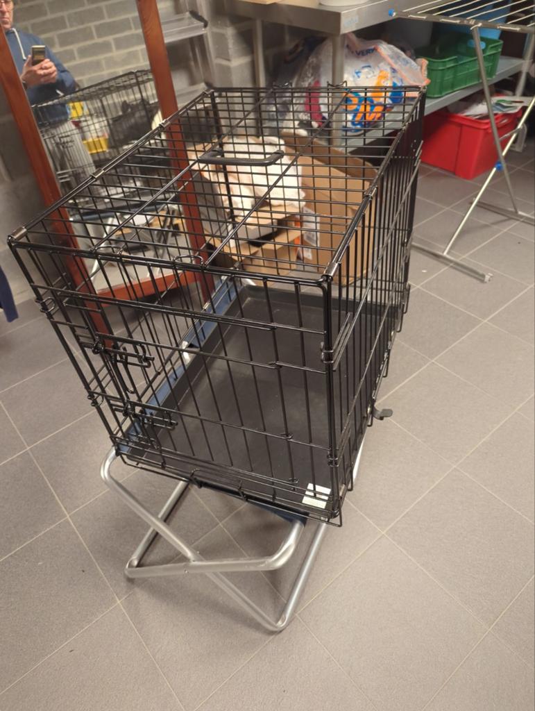 Zwarte hondenbench 60 x 43 x 52 (lxbxh), Dieren en Toebehoren, Ophalen of Verzenden, Zo goed als nieuw
