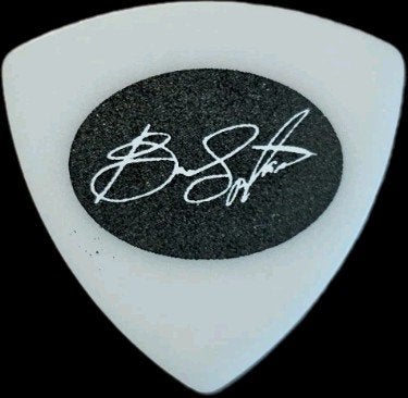 Plectrum Bruce Springsteen - Cool, Muziek en Instrumenten, Ophalen of Verzenden, Nieuw